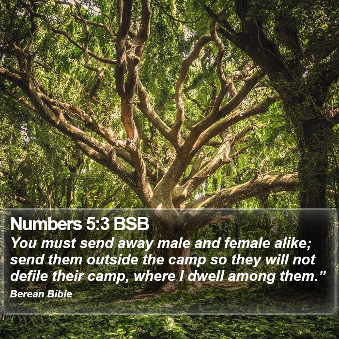 Numbers 5:3 BSB Bible Study