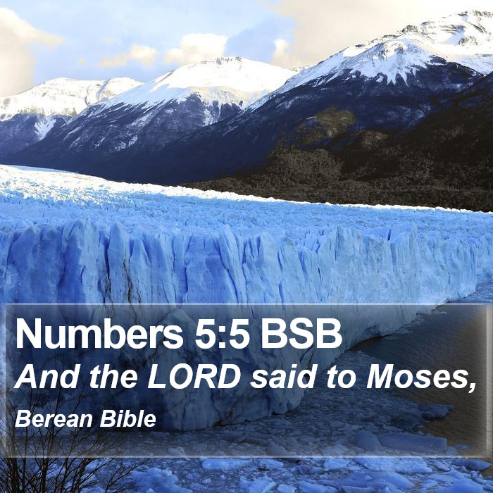 Numbers 5:5 BSB Bible Study