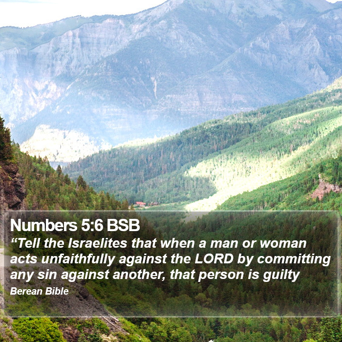 Numbers 5:6 BSB Bible Study