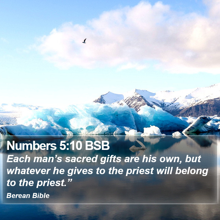 Numbers 5:10 BSB Bible Study