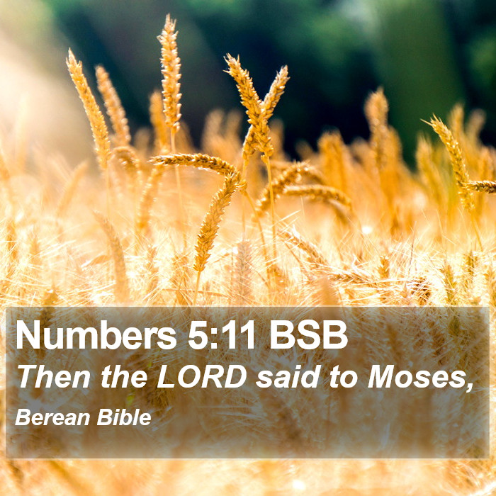 Numbers 5:11 BSB Bible Study