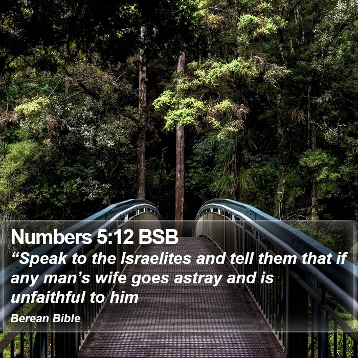 Numbers 5:12 BSB Bible Study