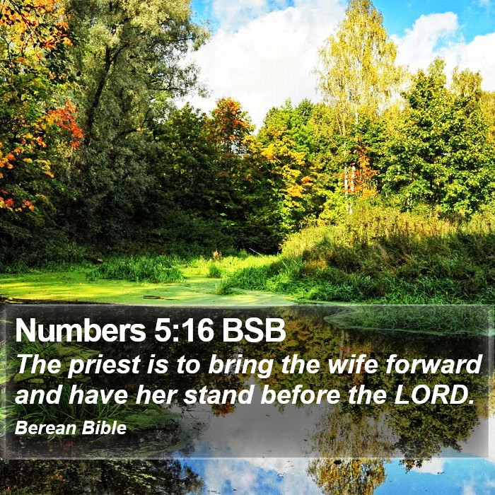 Numbers 5:16 BSB Bible Study