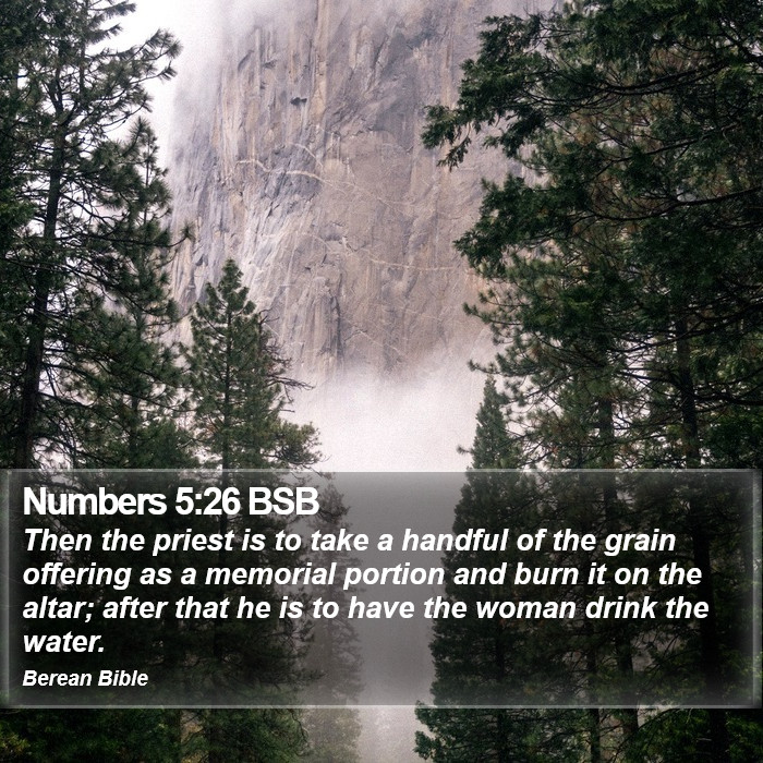 Numbers 5:26 BSB Bible Study