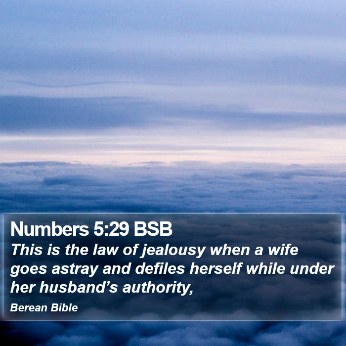 Numbers 5:29 BSB Bible Study