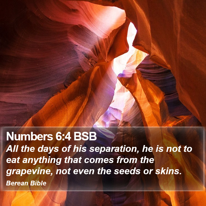 Numbers 6:4 BSB Bible Study