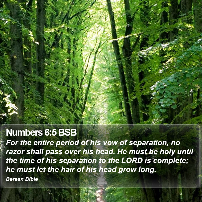 Numbers 6:5 BSB Bible Study