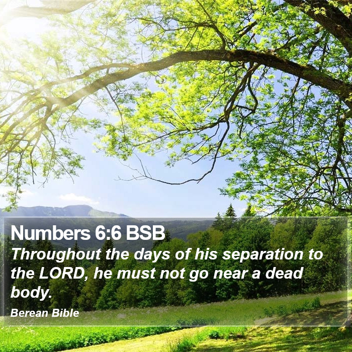 Numbers 6:6 BSB Bible Study