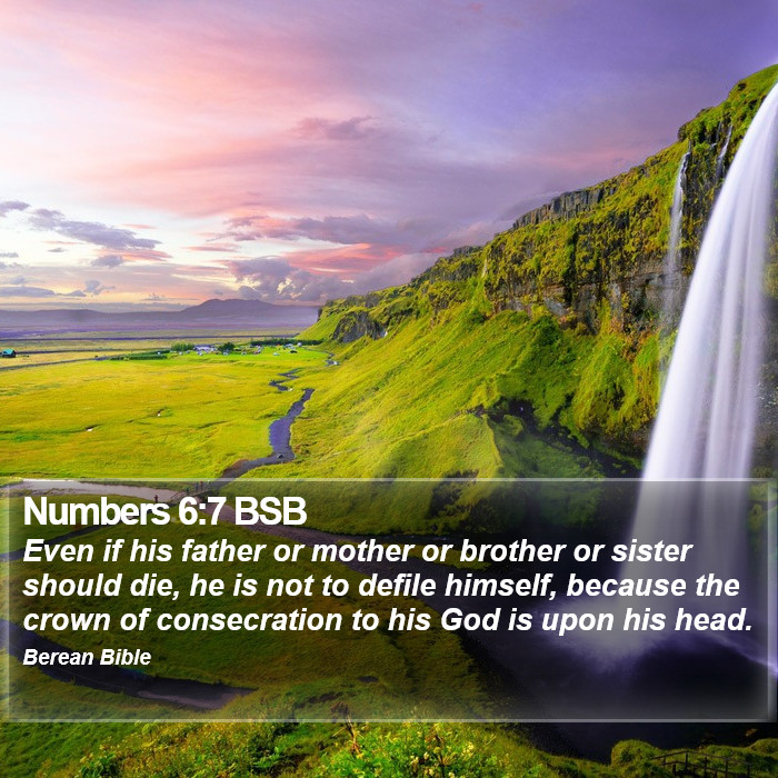 Numbers 6:7 BSB Bible Study