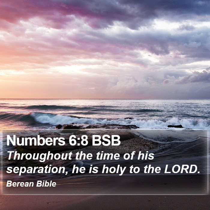 Numbers 6:8 BSB Bible Study