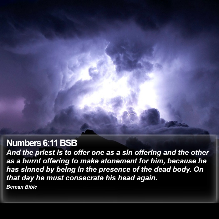 Numbers 6:11 BSB Bible Study