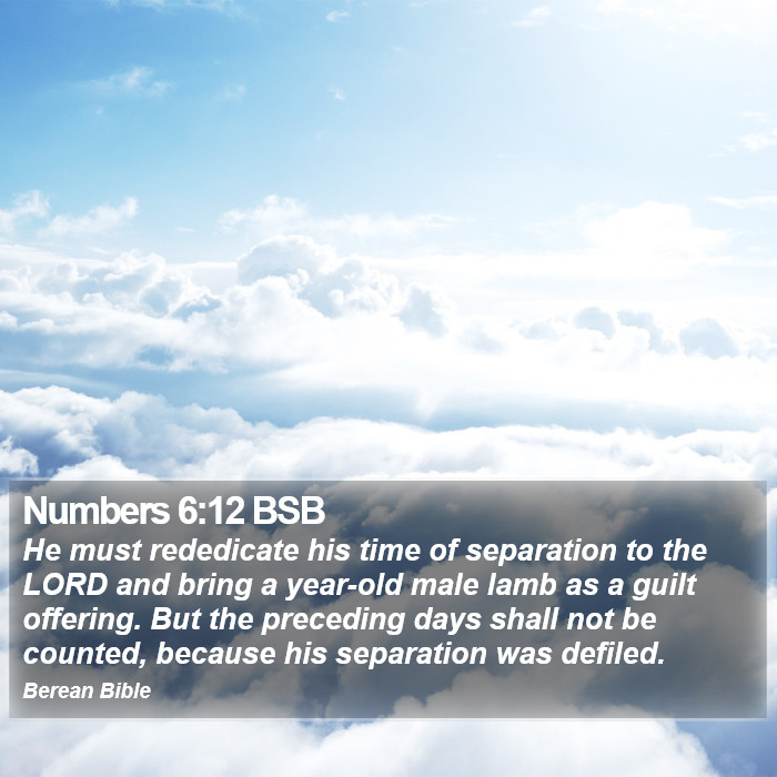 Numbers 6:12 BSB Bible Study