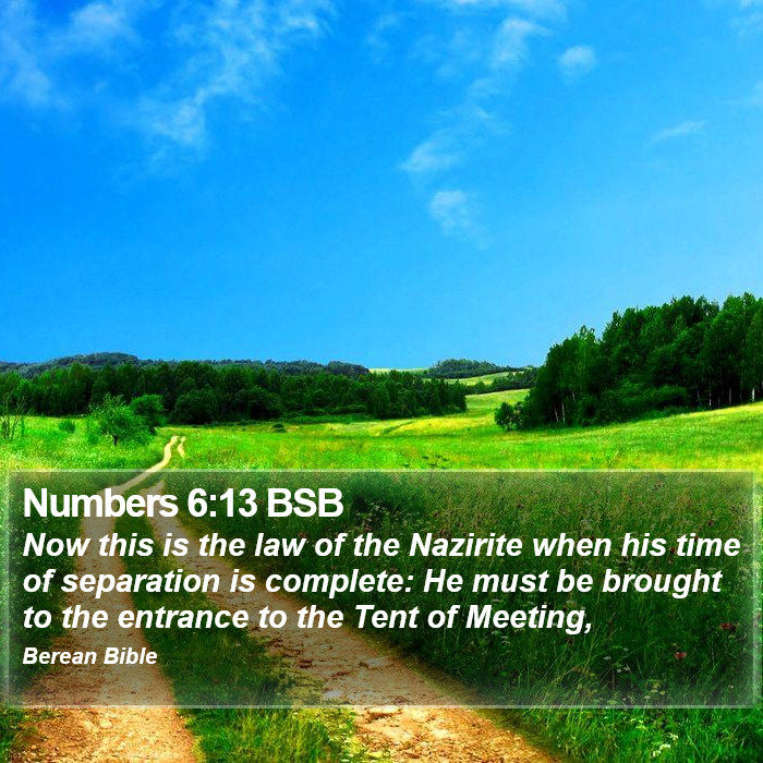 Numbers 6:13 BSB Bible Study