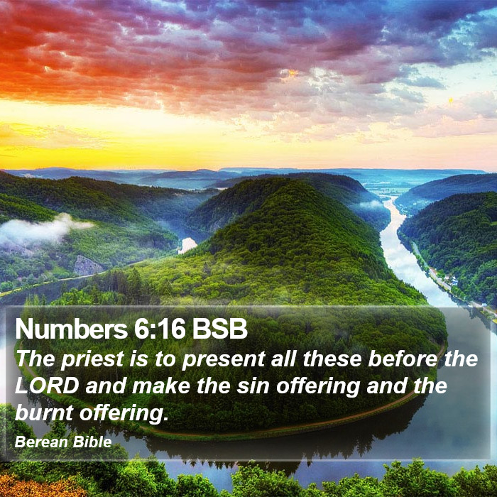 Numbers 6:16 BSB Bible Study