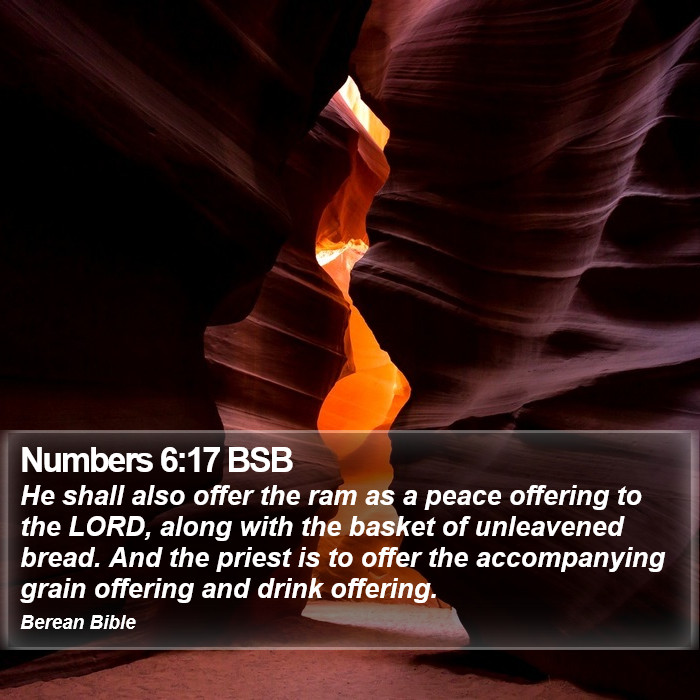 Numbers 6:17 BSB Bible Study