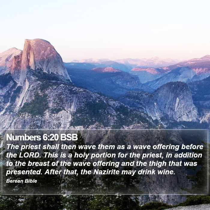 Numbers 6:20 BSB Bible Study