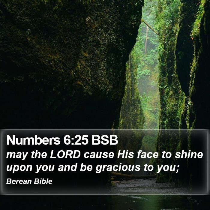 Numbers 6:25 BSB Bible Study