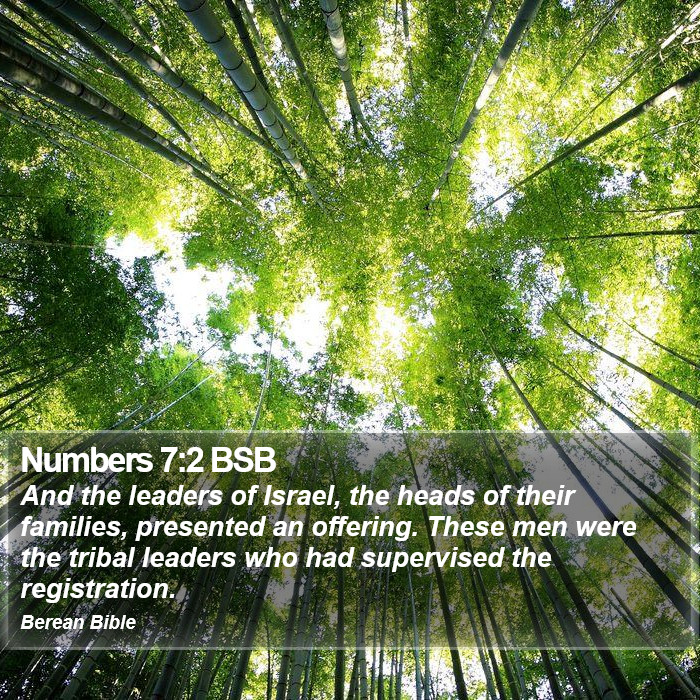 Numbers 7:2 BSB Bible Study