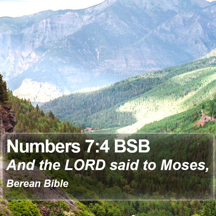 Numbers 7:4 BSB Bible Study