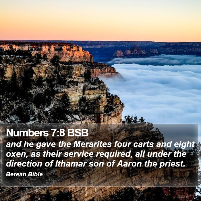 Numbers 7:8 BSB Bible Study