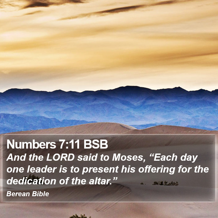 Numbers 7:11 BSB Bible Study