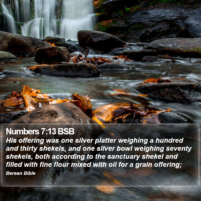 Numbers 7:13 BSB Bible Study