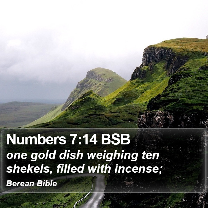 Numbers 7:14 BSB Bible Study