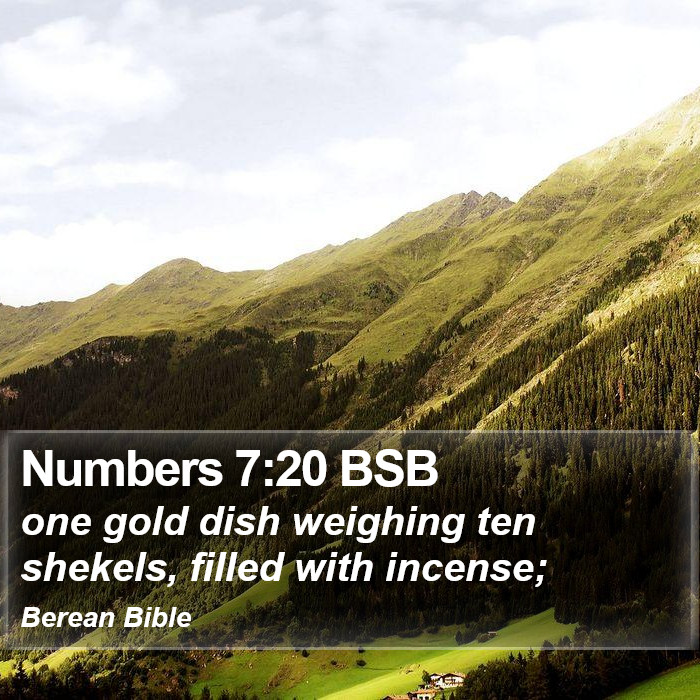 Numbers 7:20 BSB Bible Study