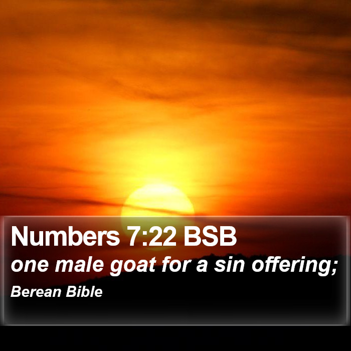 Numbers 7:22 BSB Bible Study