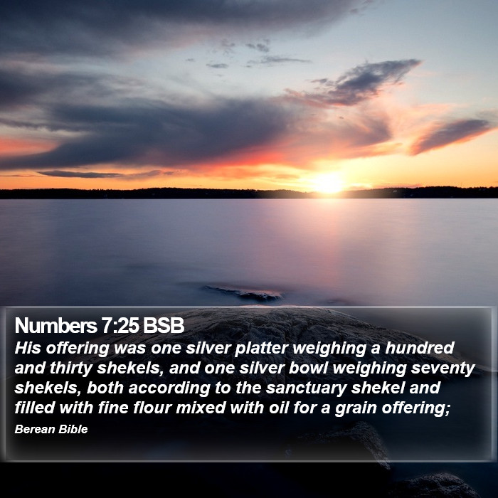 Numbers 7:25 BSB Bible Study