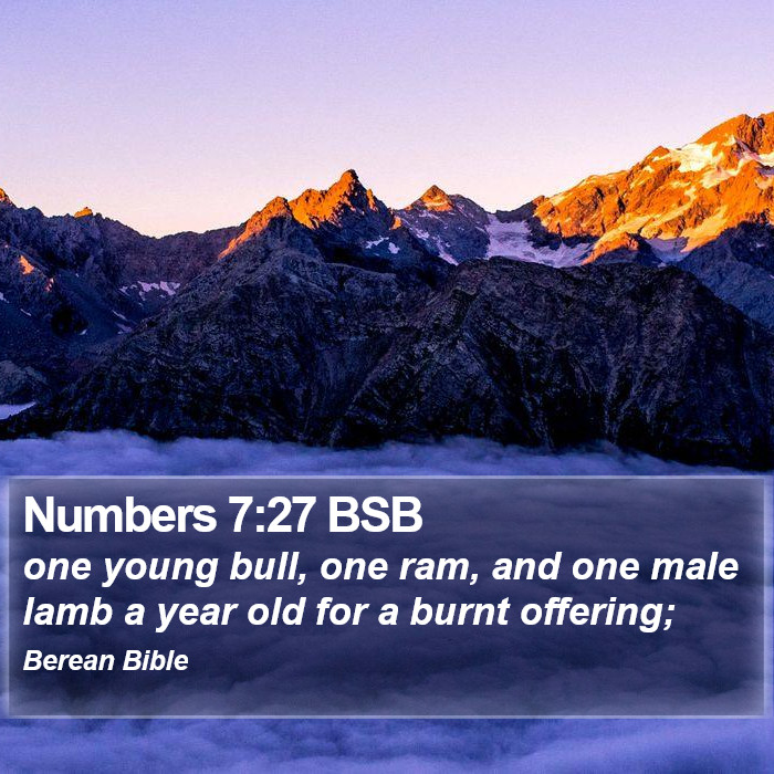 Numbers 7:27 BSB Bible Study