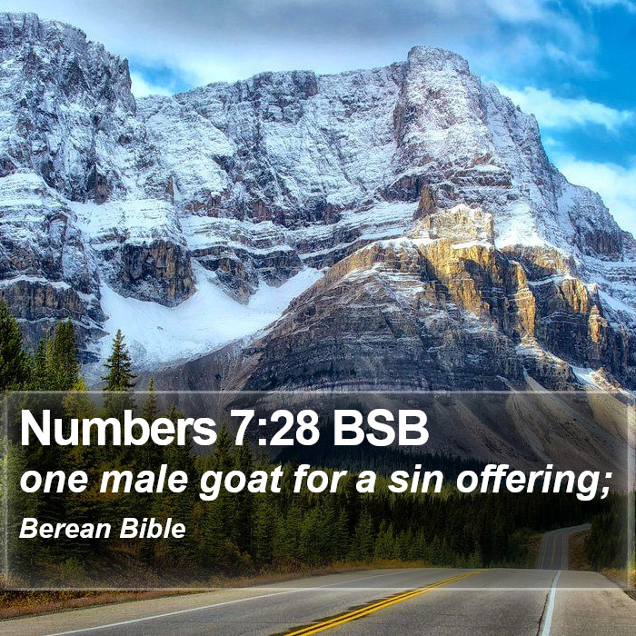 Numbers 7:28 BSB Bible Study