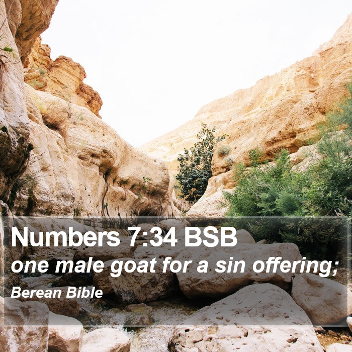 Numbers 7:34 BSB Bible Study