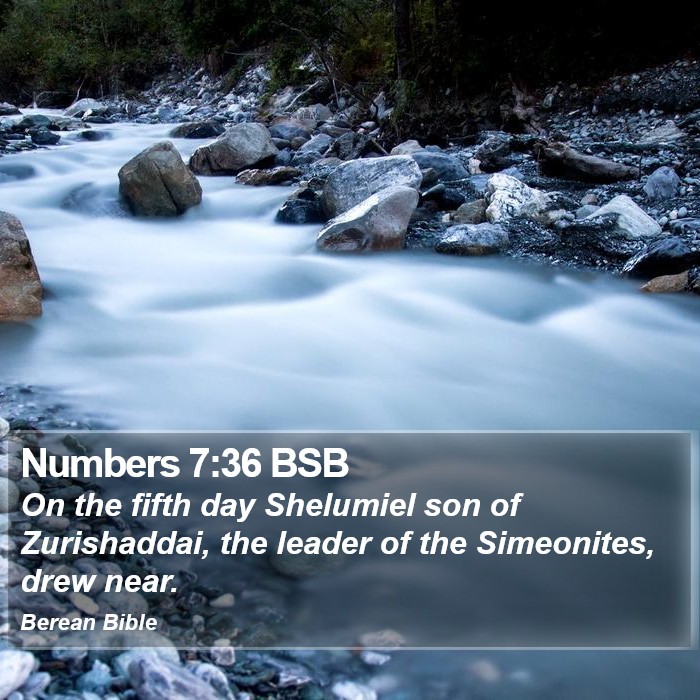 Numbers 7:36 BSB Bible Study