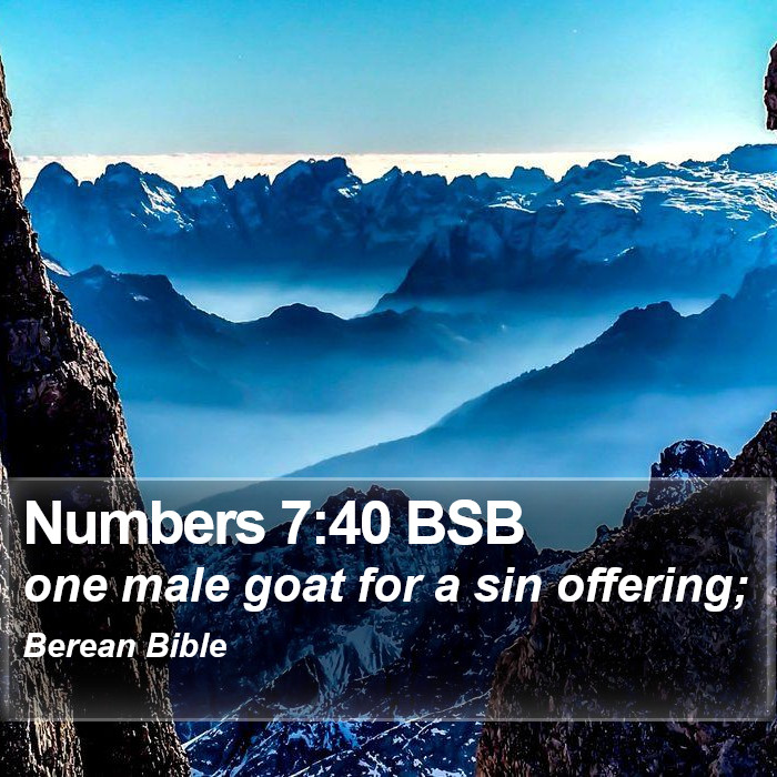 Numbers 7:40 BSB Bible Study