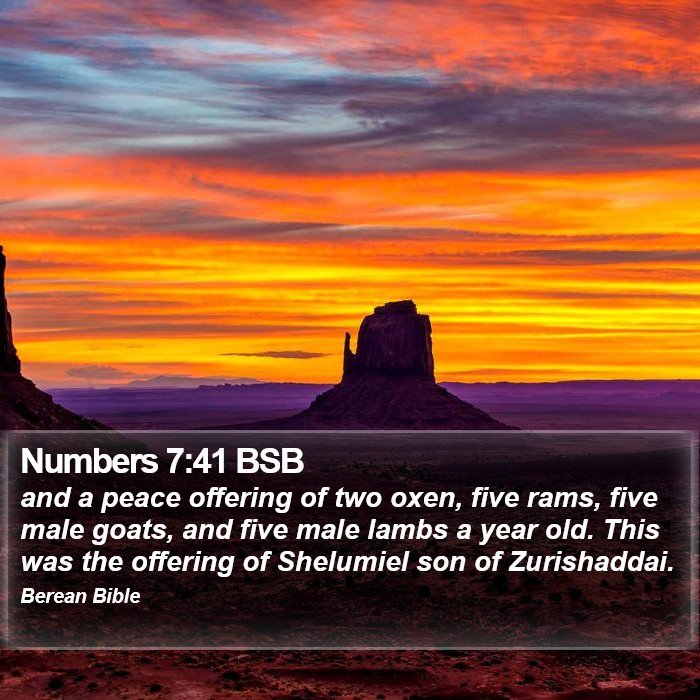 Numbers 7:41 BSB Bible Study