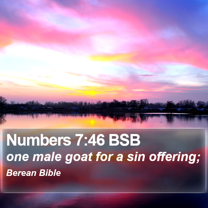 Numbers 7:46 BSB Bible Study