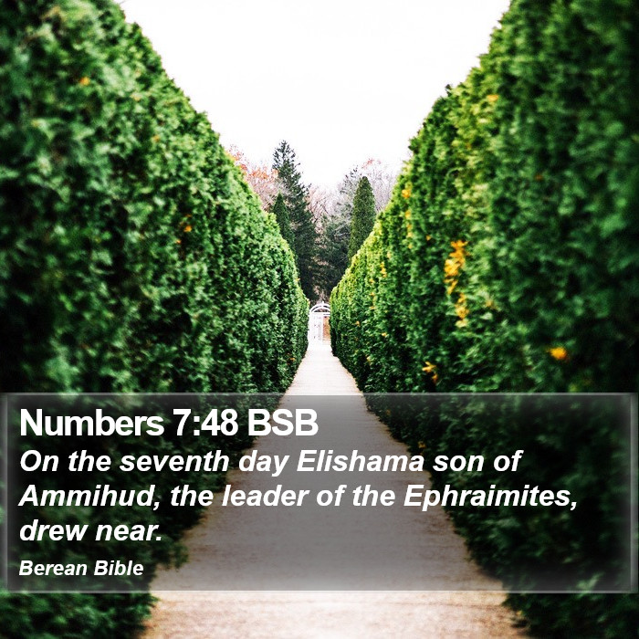 Numbers 7:48 BSB Bible Study