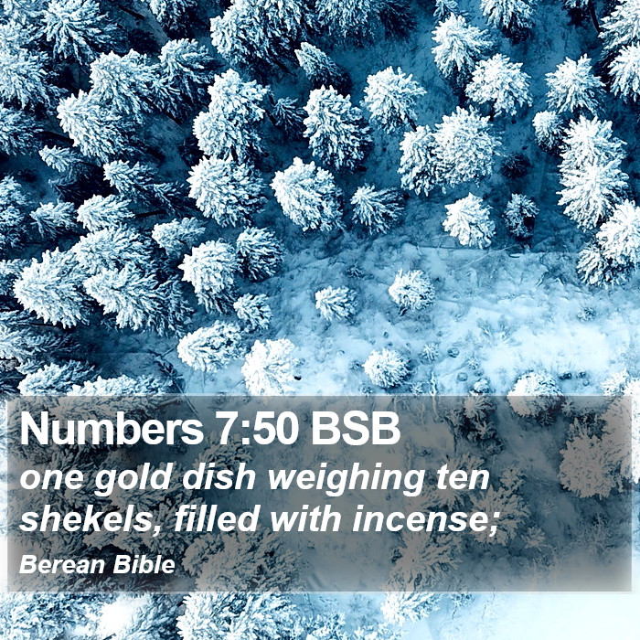 Numbers 7:50 BSB Bible Study