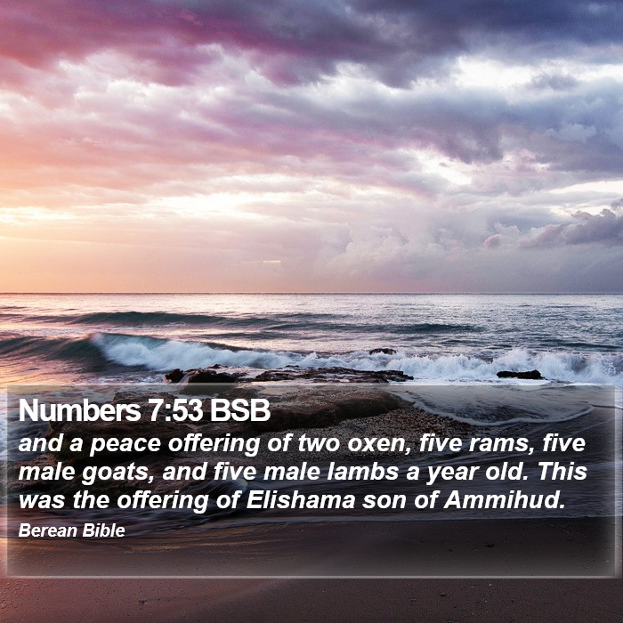 Numbers 7:53 BSB Bible Study