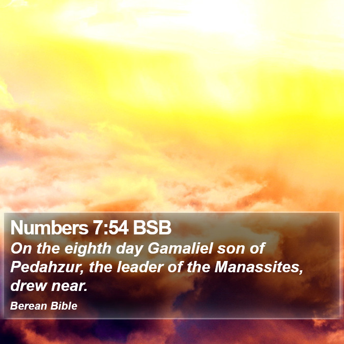 Numbers 7:54 BSB Bible Study