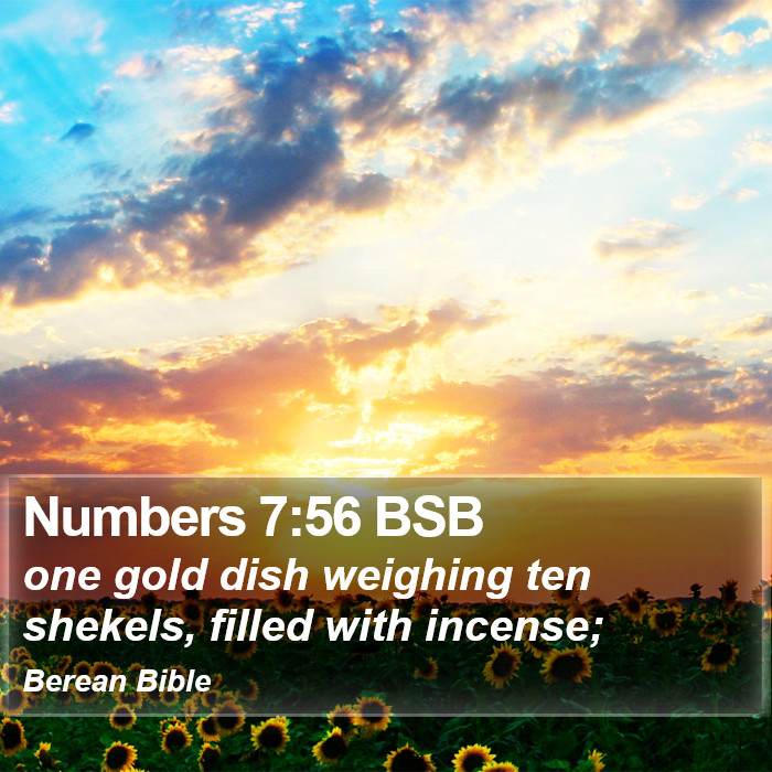 Numbers 7:56 BSB Bible Study