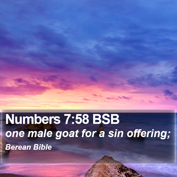 Numbers 7:58 BSB Bible Study