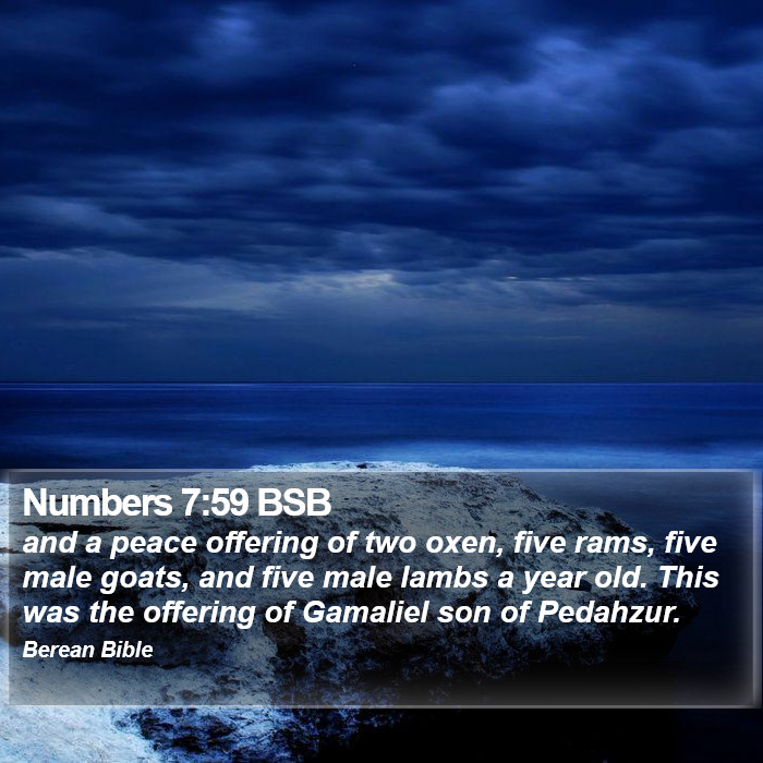 Numbers 7:59 BSB Bible Study