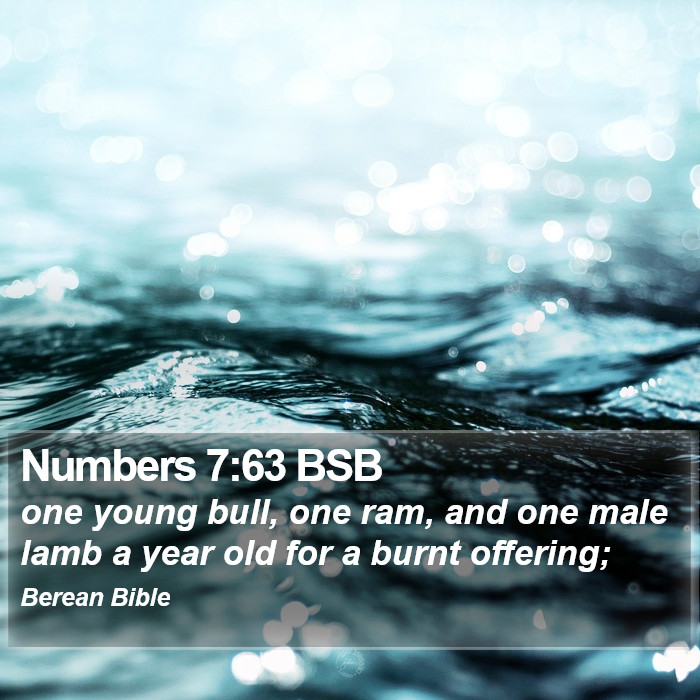 Numbers 7:63 BSB Bible Study