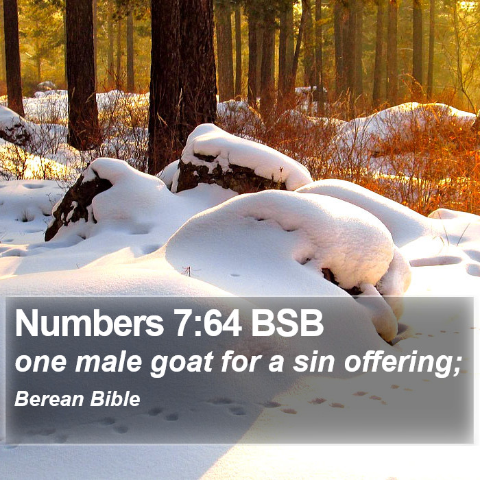 Numbers 7:64 BSB Bible Study