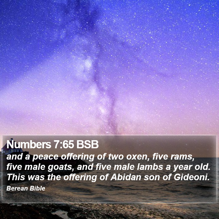 Numbers 7:65 BSB Bible Study