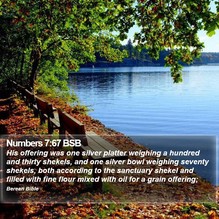 Numbers 7:67 BSB Bible Study