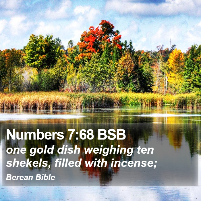 Numbers 7:68 BSB Bible Study