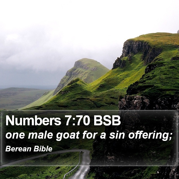 Numbers 7:70 BSB Bible Study